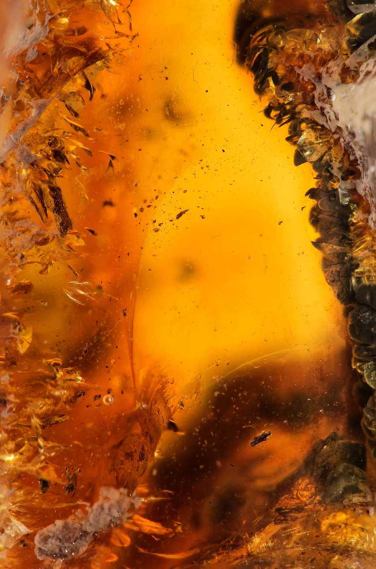 N109........        le pouvoir de l'imagination peut  nous amener à voir un poisson en bas... :-))